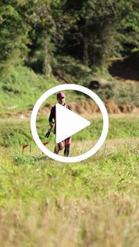 BIB:  <button type="button" onclick="openModal(26565772)" class="btn btn-primary btn-sm float-right" data-toggle="modal" data-target=".modal-high-quality">
                <i class="fa fa-download"></i> Download
                </button>